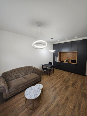 Modern apartment